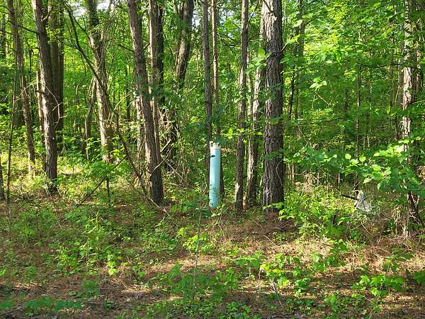 0.5 Acres of Land for Sale in Lithonia, Georgia