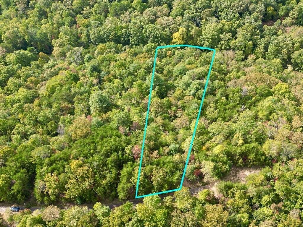 Residential Land for Sale in Warne, North Carolina