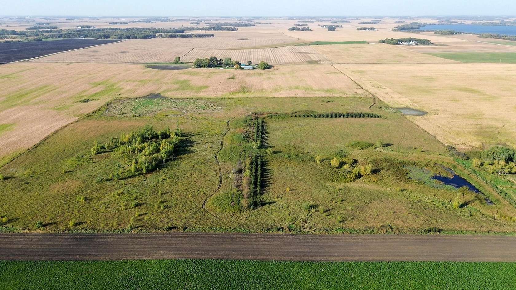40 Acres of Land for Sale in Cosmos, Minnesota