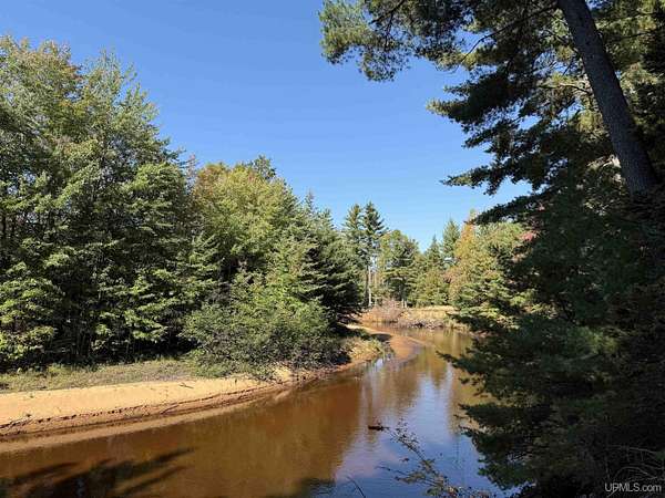 18.7 Acres of Recreational Land for Sale in Manistique, Michigan