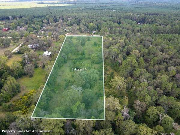 5 Acres of Residential Land for Sale in Livingston, Texas