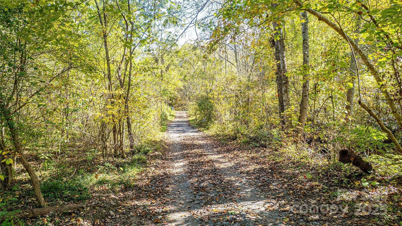 27 Acres of Recreational Land for Sale in Barnardsville, North Carolina