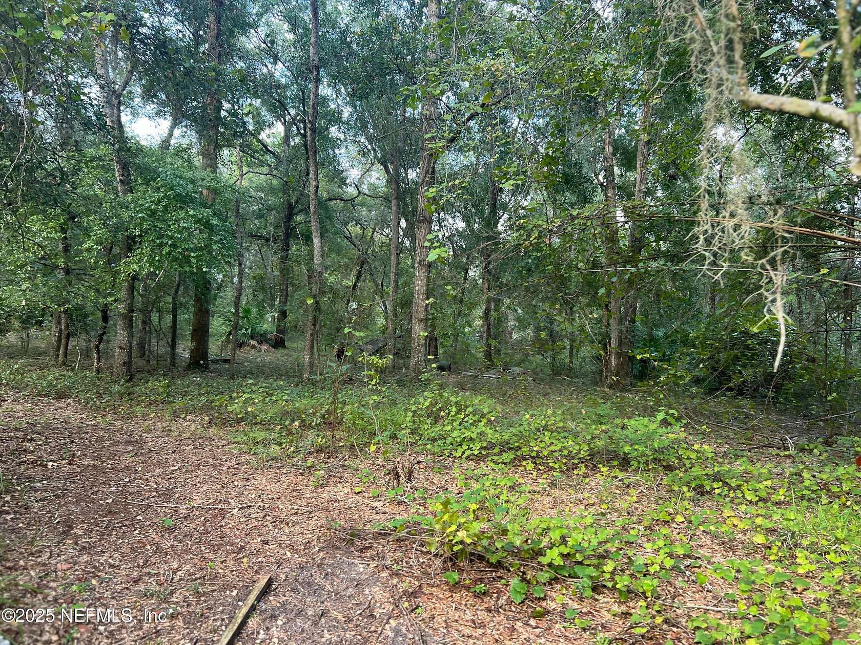 4 Acres of Residential Land with Home for Sale in Hawthorne, Florida