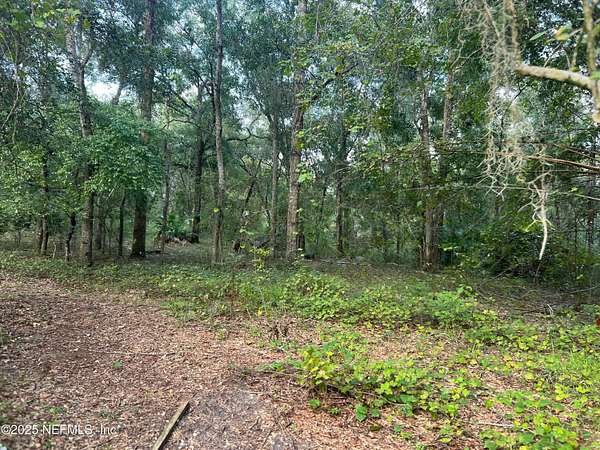 4 Acres of Residential Land with Home for Sale in Hawthorne, Florida