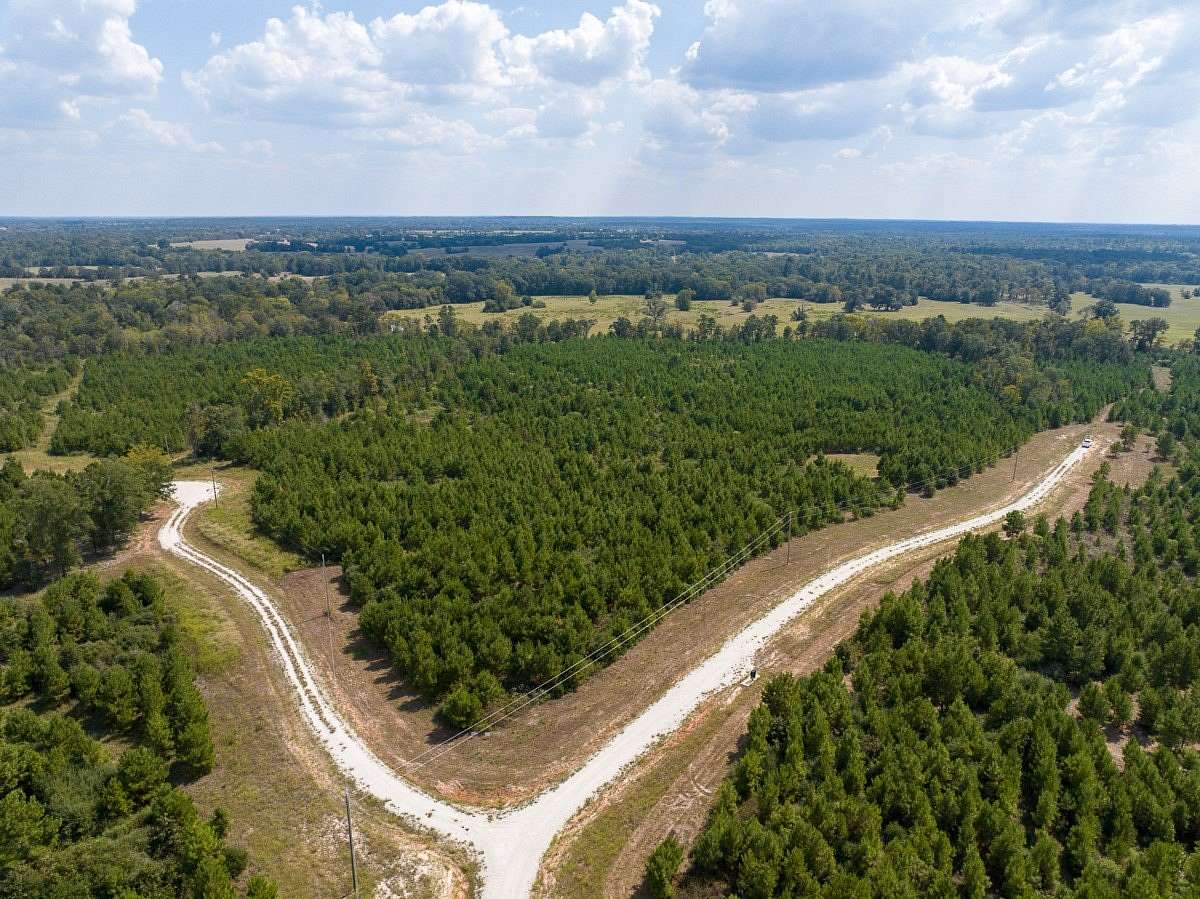 10 Acres of Land for Sale in Lovelady, Texas