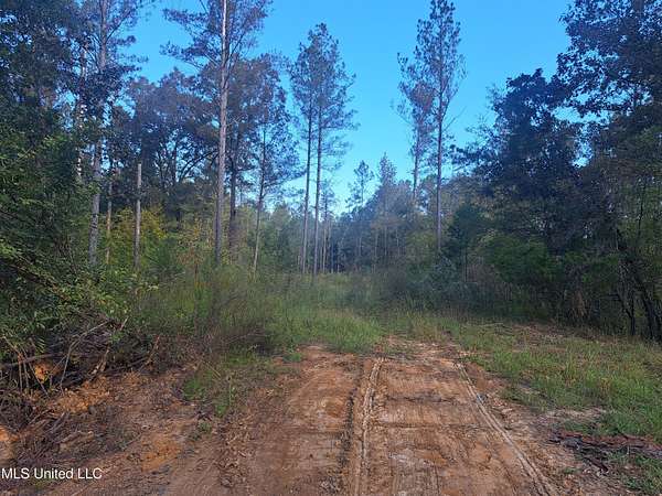 100 Acres of Recreational Land for Sale in Canton, Mississippi