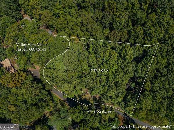 1.25 Acres of Residential Land for Sale in Jasper, Georgia