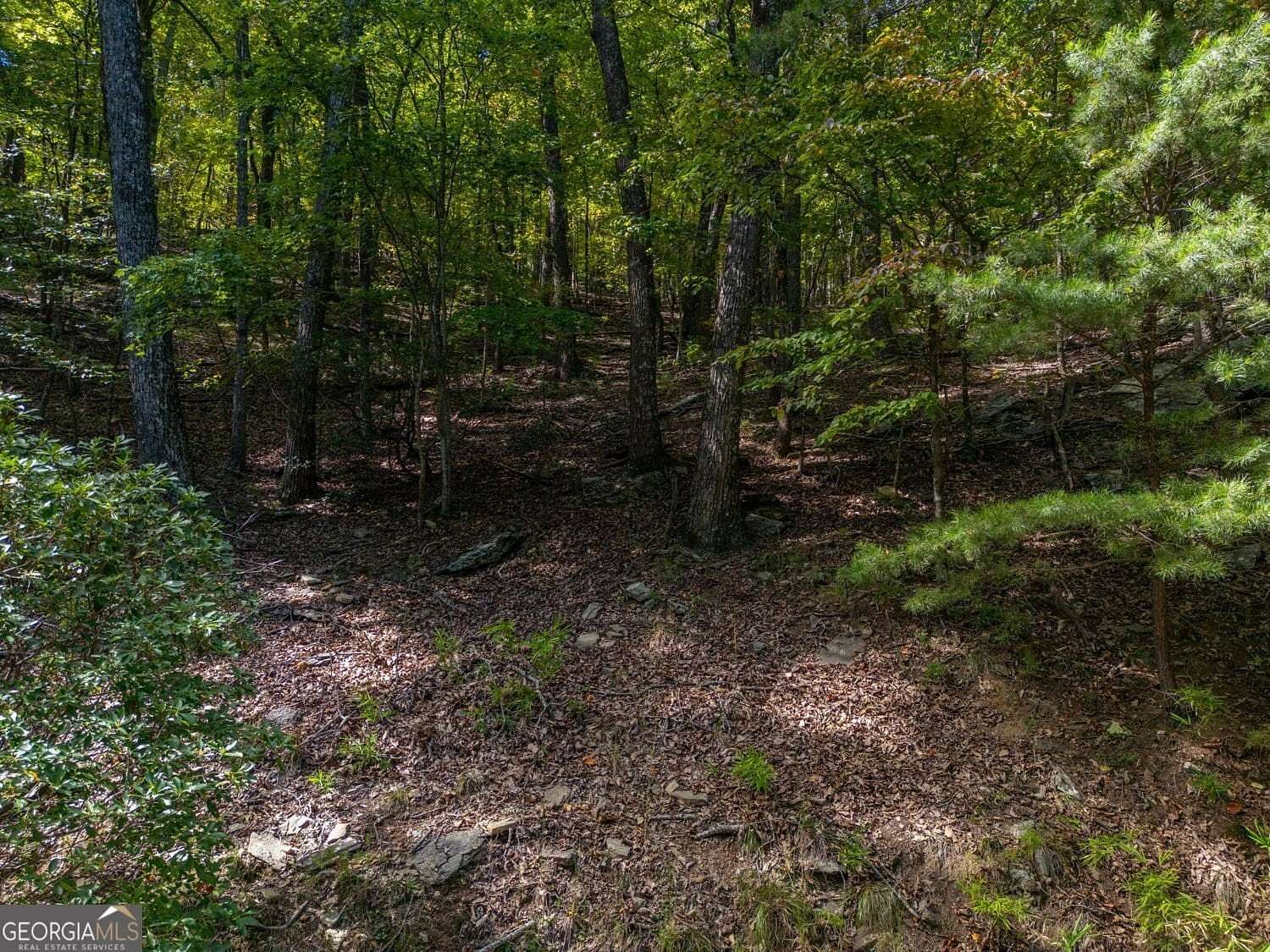 1.3 Acres of Residential Land for Sale in Jasper, Georgia