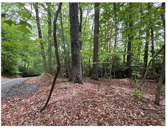 0.36 Acres of Land for Sale in Fancy Gap, Virginia