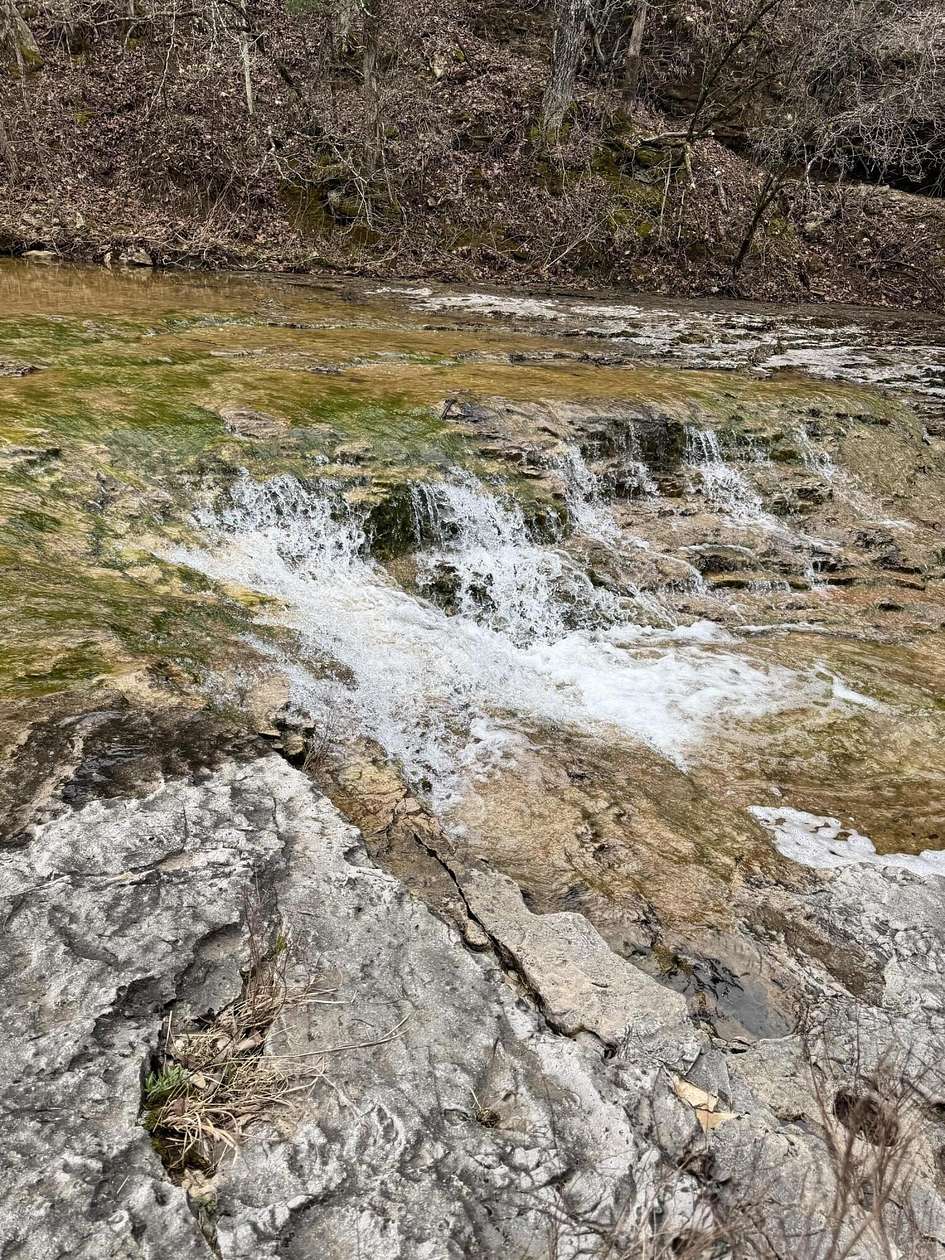 88 Acres of Recreational Land for Sale in Bradleyville, Missouri