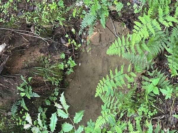 7.8 Acres of Land for Sale in Young Harris, Georgia