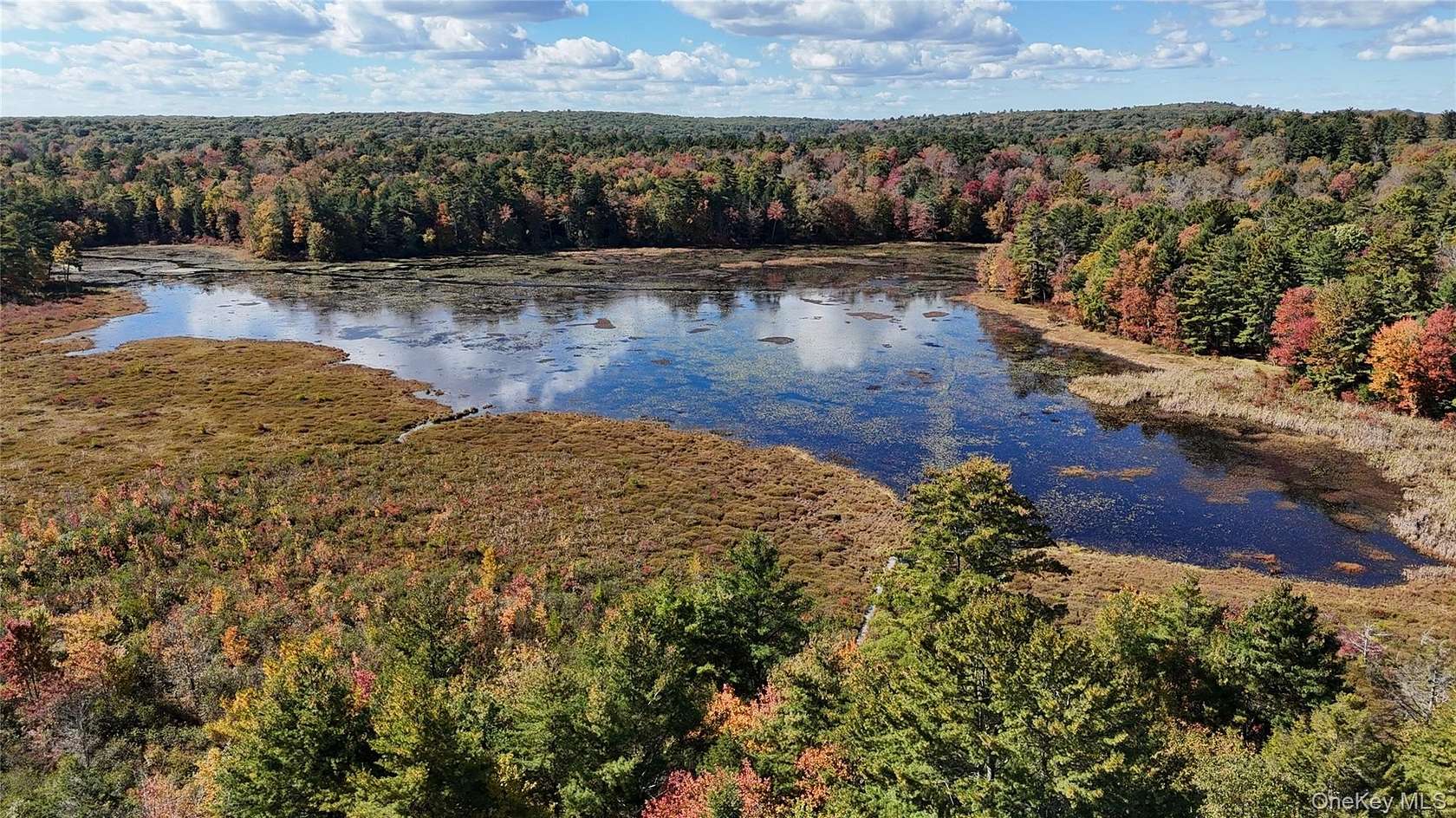 8.89 Acres of Residential Land for Sale in White Lake, New York