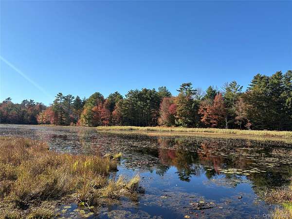 8.89 Acres of Residential Land for Sale in White Lake, New York