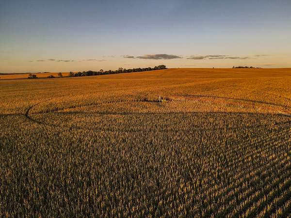 158 Acres of Agricultural Land for Sale in Tilden, Nebraska