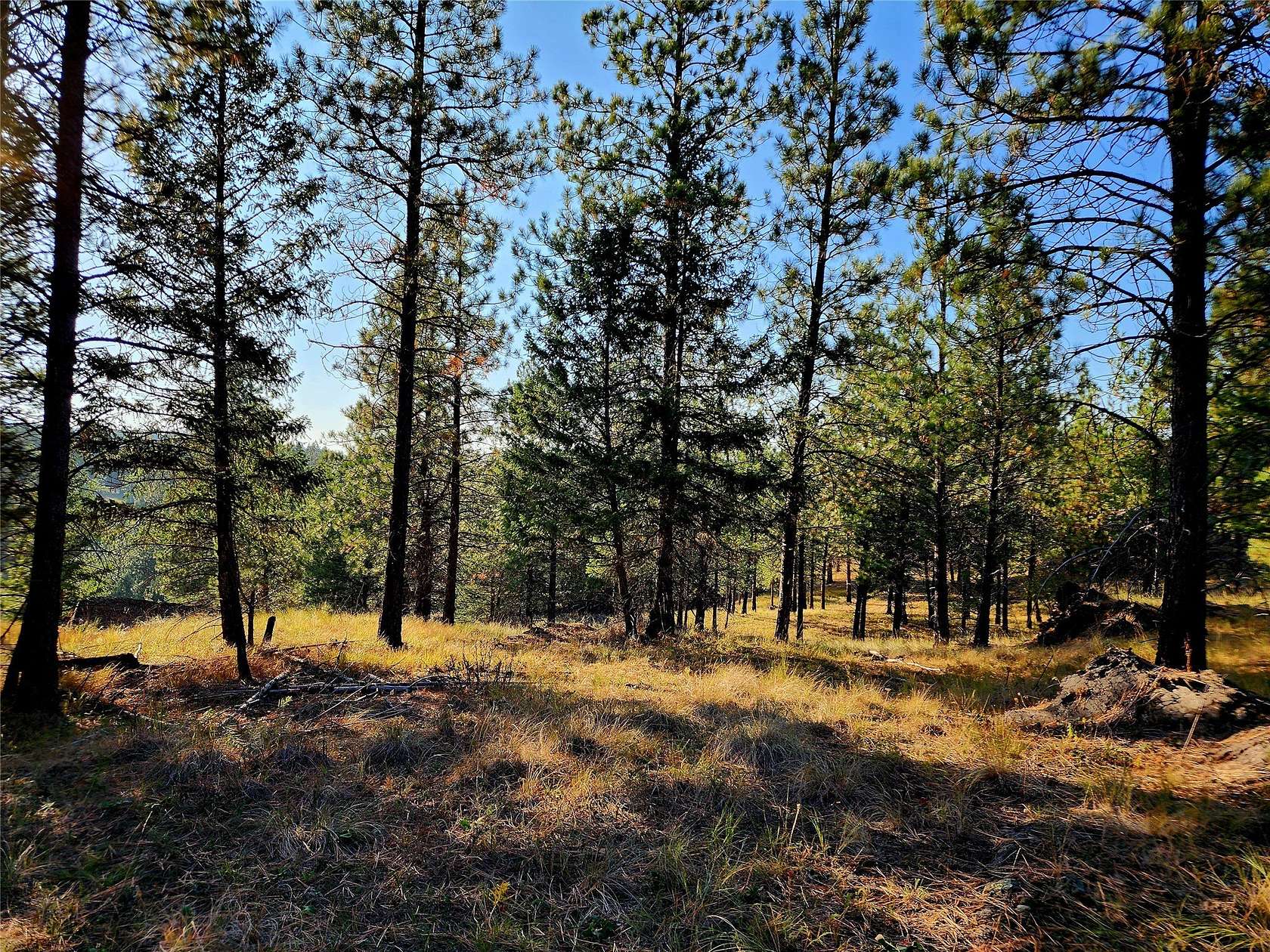 10.3 Acres of Recreational & Residential Land for Sale in Eureka, Montana