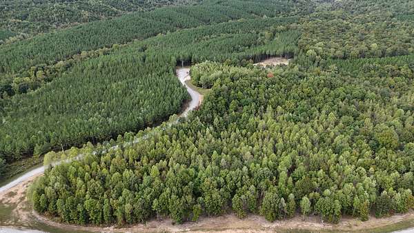 11 Acres of Land for Sale in Linden, Tennessee