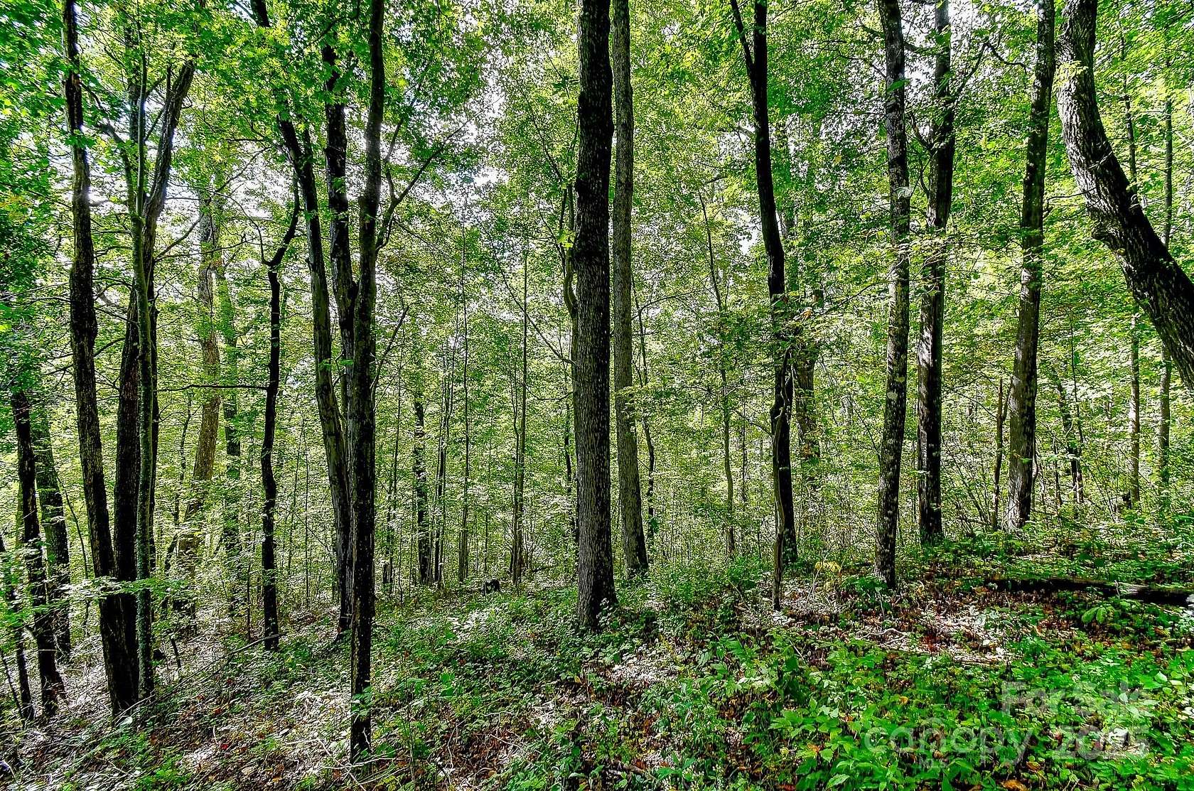 57 Acres of Recreational Land for Sale in Black Mountain, North Carolina