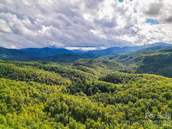 50 Acres of Recreational & Residential Land for Sale in Black Mountain, North Carolina
