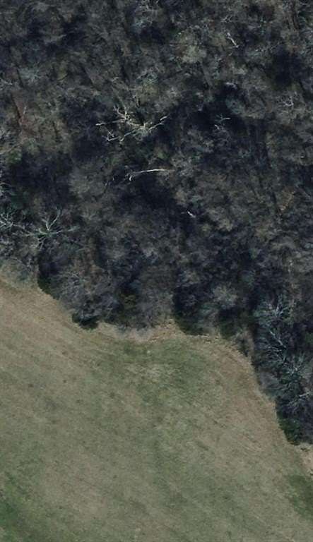 5 Acres of Land for Sale in Bonham, Texas