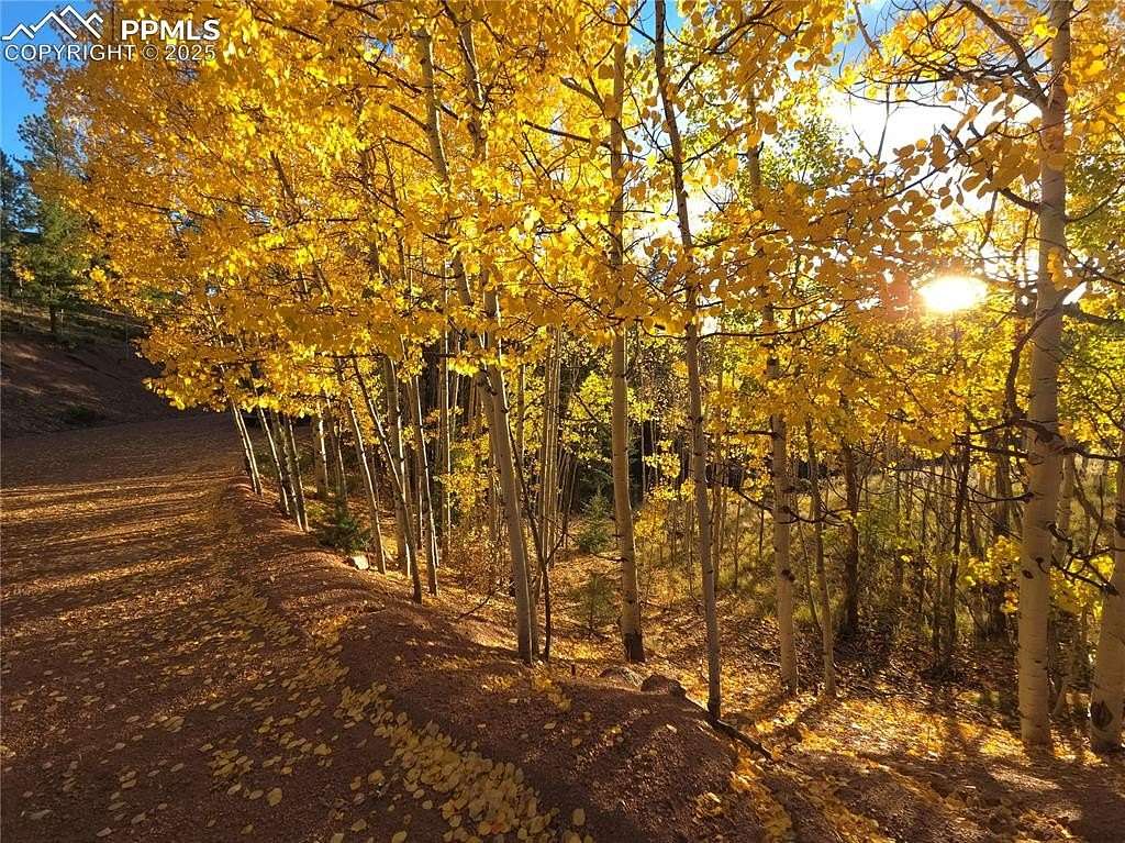 1.35 Acres of Residential Land for Sale in Cripple Creek, Colorado