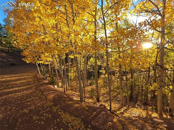 1.35 Acres of Residential Land for Sale in Cripple Creek, Colorado