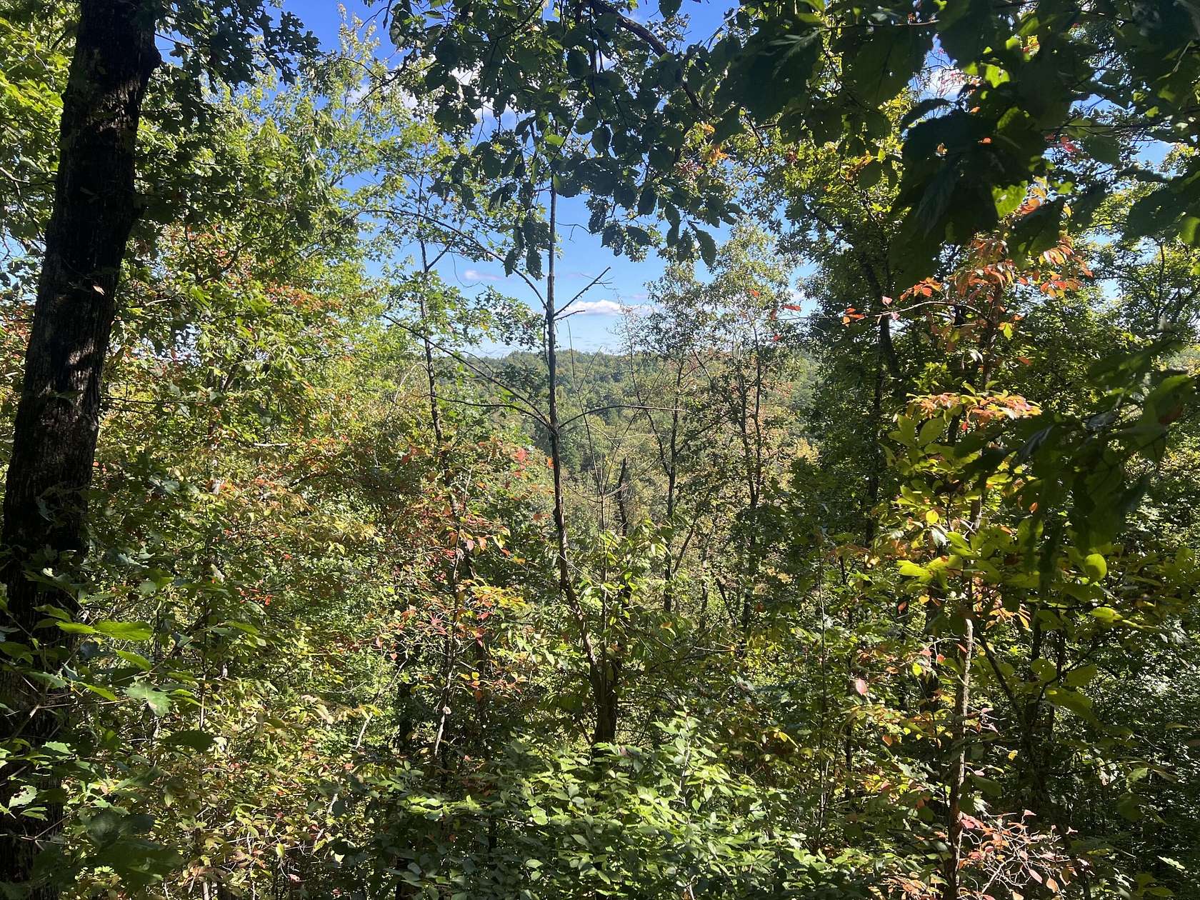 33 Acres of Recreational Land for Sale in Salyersville, Kentucky
