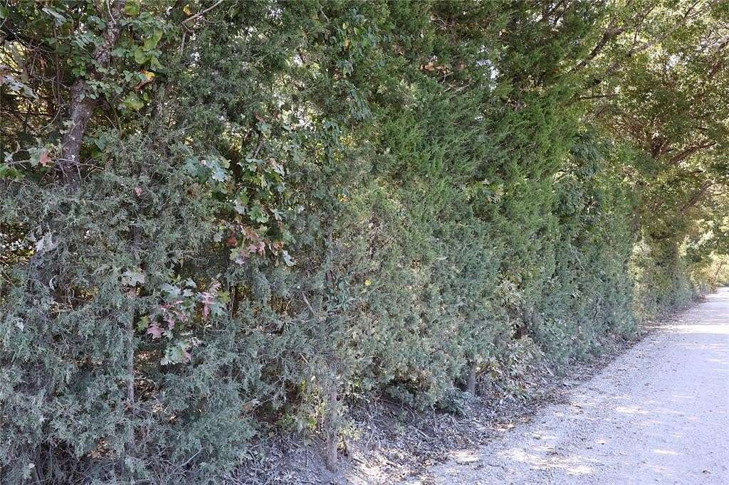 5 Acres of Land for Sale in Bonham, Texas