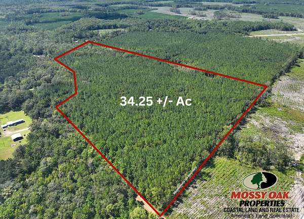 34.3 Acres of Recreational Land for Sale in Woodbine, Georgia