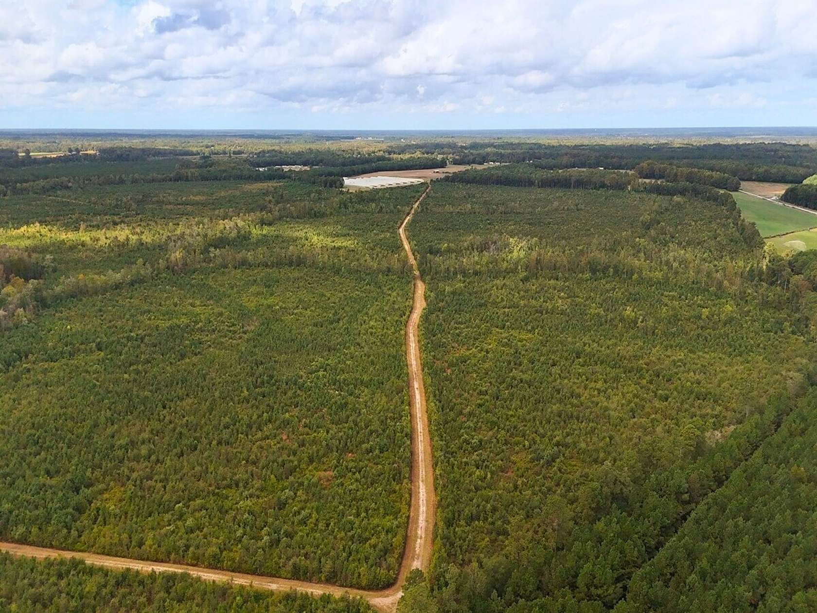 270 Acres of Recreational Land for Sale in Kenansville, North Carolina