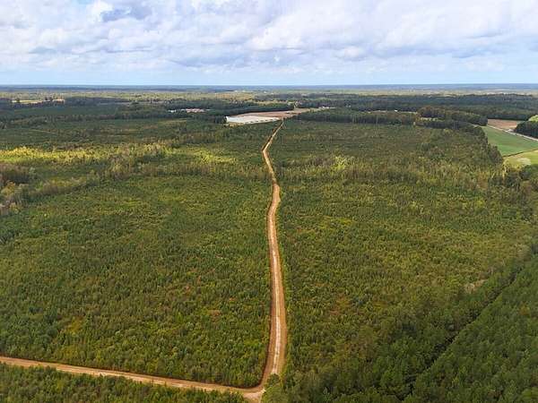 270 Acres of Recreational Land for Sale in Kenansville, North Carolina