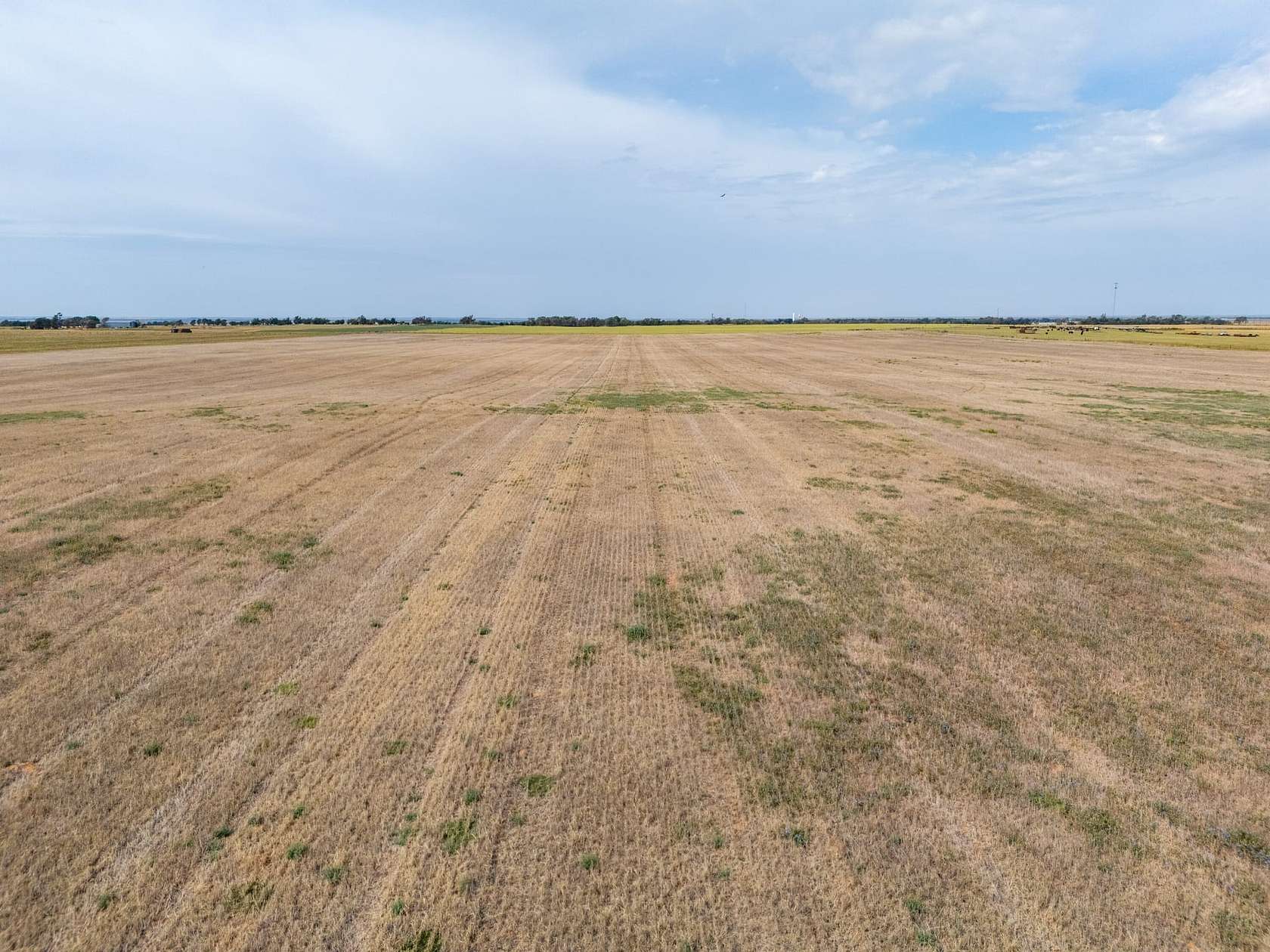 159 Acres of Recreational Land & Farm for Sale in Tipton, Oklahoma
