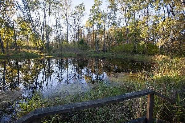 5.15 Acres of Residential Land for Sale in Friendship, Wisconsin