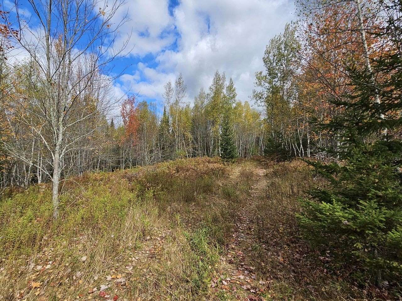 40.1 Acres of Recreational & Residential Land for Sale in Mariaville, Maine