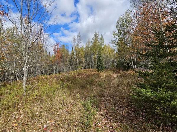 40.1 Acres of Recreational & Residential Land for Sale in Mariaville, Maine