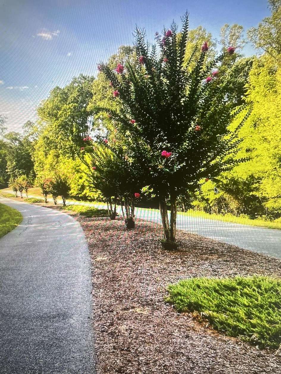 1.3 Acres of Land for Sale in Pittsville, Virginia