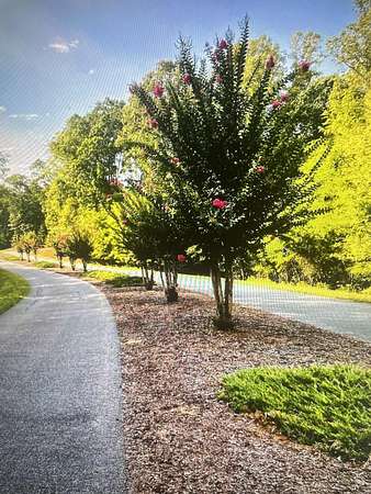 1.3 Acres of Land for Sale in Pittsville, Virginia