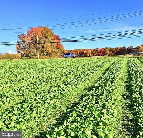 98 Acres of Agricultural Land for Sale in Chesterfield, New Jersey