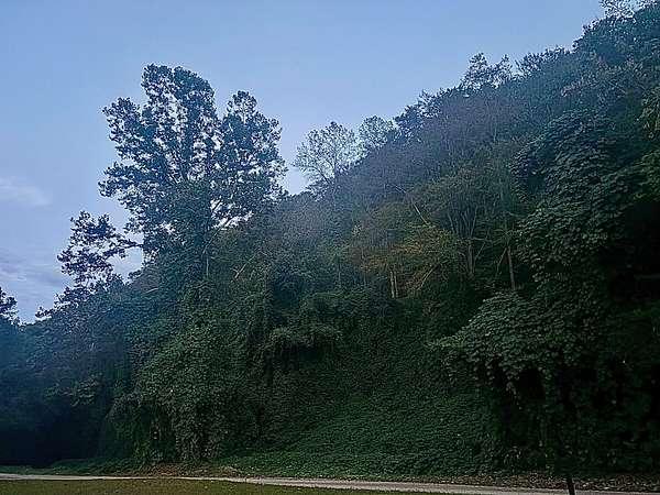 48 Acres of Recreational Land for Sale in Jackson, Kentucky