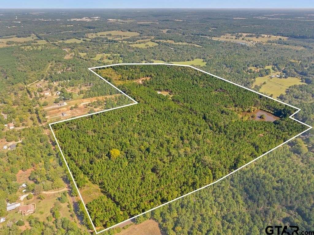 111 Acres of Recreational & Residential Land for Sale in Tyler, Texas