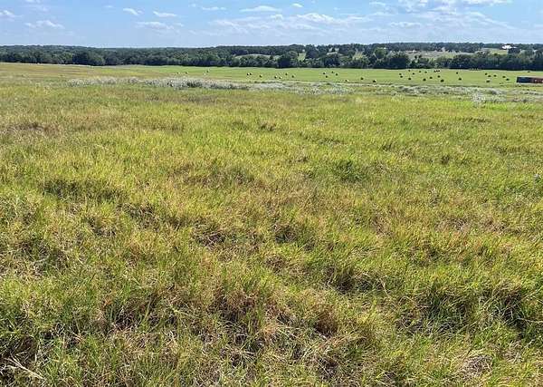 40 Acres of Agricultural Land for Sale in Alvord, Texas