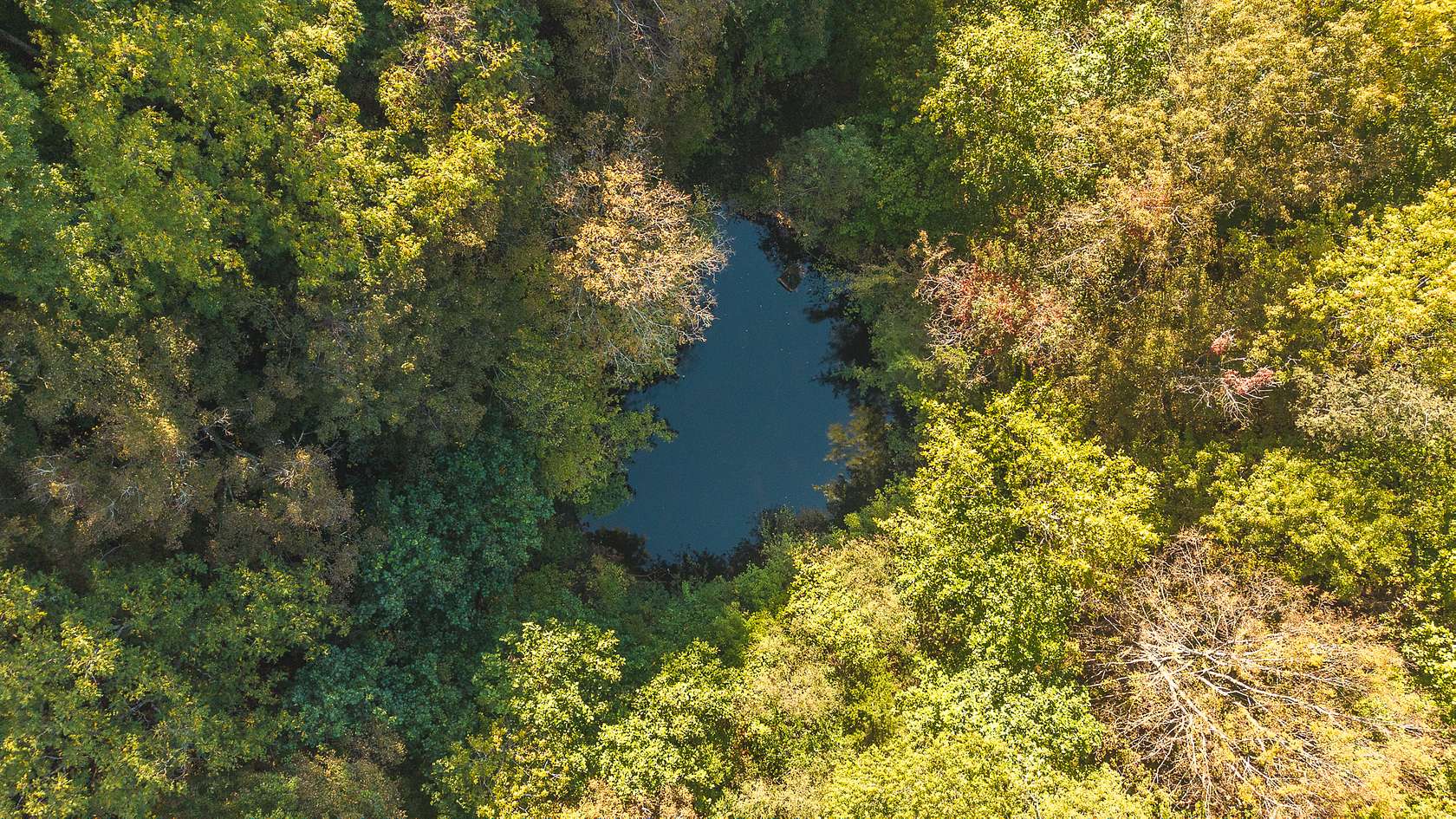 69.3 Acres of Land for Sale in Sneedville, Tennessee