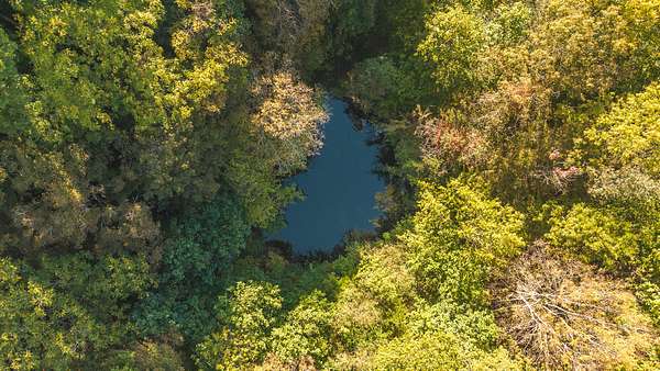 69.3 Acres of Land for Sale in Sneedville, Tennessee