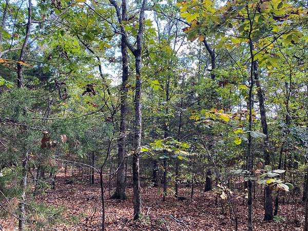 3.18 Acres of Land for Sale in Mountain View, Arkansas