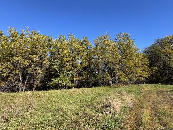 40 Acres of Recreational Land & Farm for Sale in Pattonsburg, Missouri