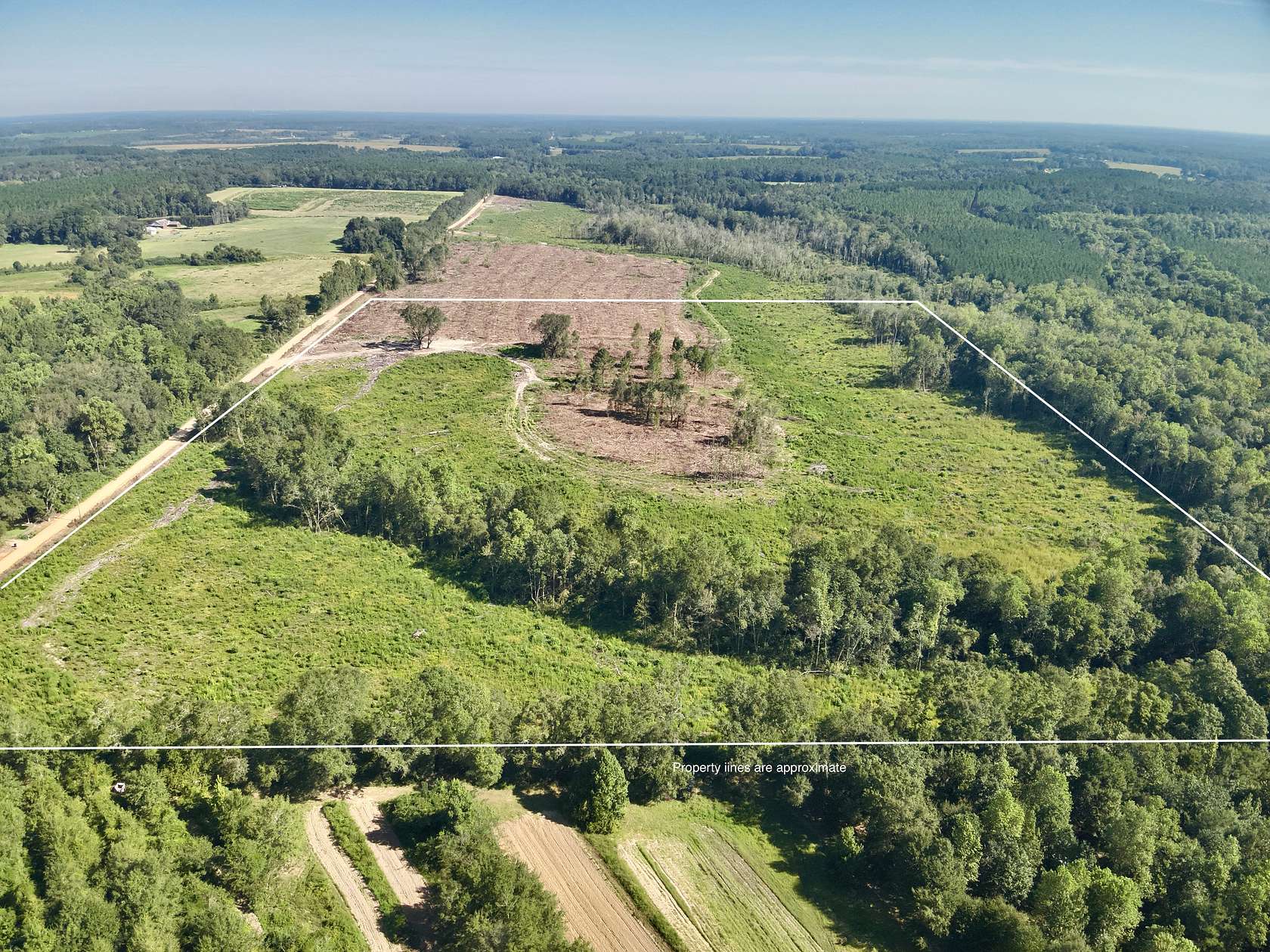 65 Acres of Recreational Land & Farm for Sale in Slocomb, Alabama