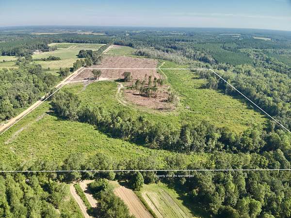 65 Acres of Recreational Land & Farm for Sale in Slocomb, Alabama