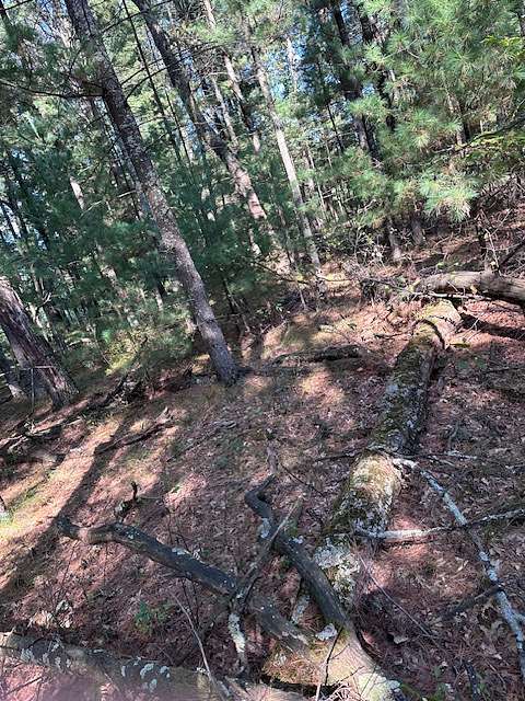 0.54 Acres of Land for Sale in Arkdale, Wisconsin