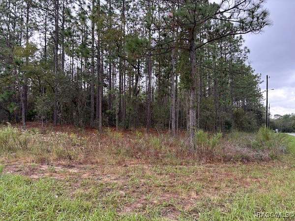 0.37 Acres of Residential Land for Sale in Citrus Springs, Florida