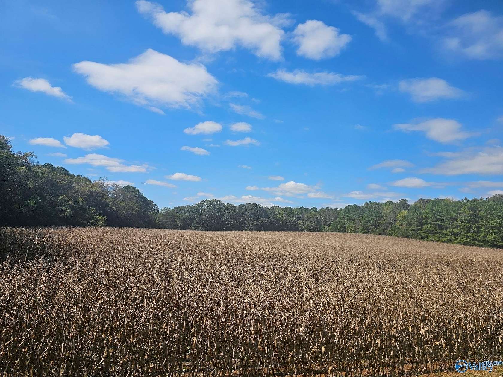 12.2 Acres of Mixed-Use Land for Sale in Triana, Alabama