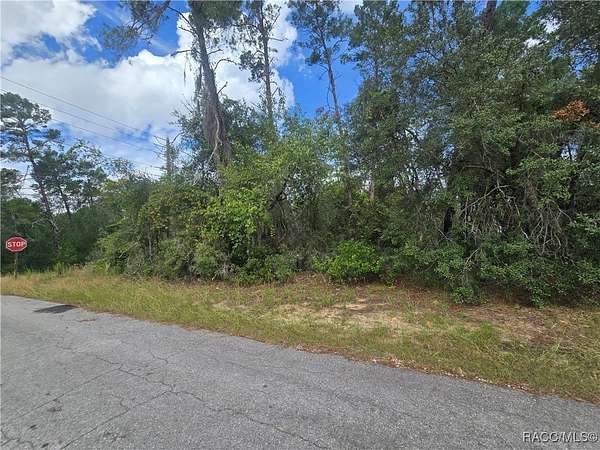 0.23 Acres of Residential Land for Auction in Inverness, Florida